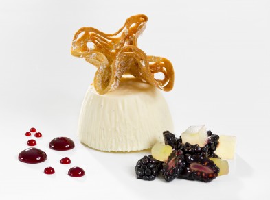 Vanilla Panna Cotta with Wild Irish Blackberries, Apple and Oat Tuille